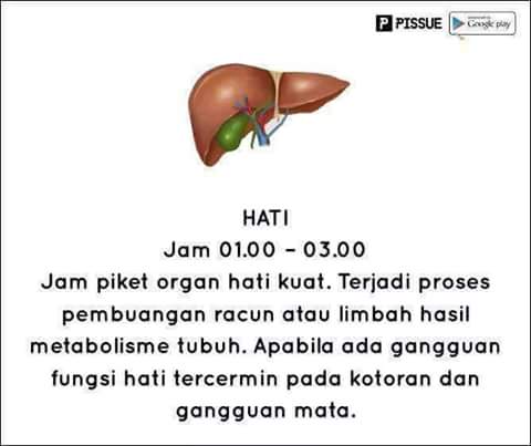 FB_IMG_1468046336381