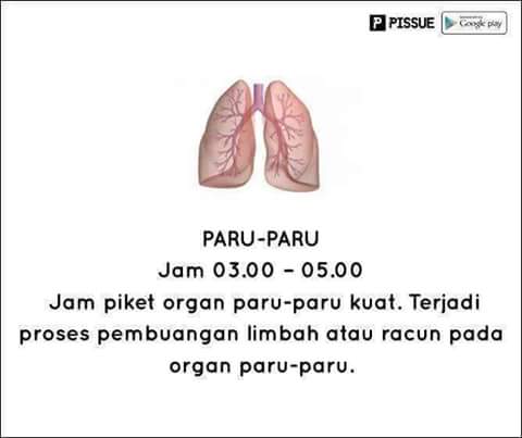 FB_IMG_1468046342572