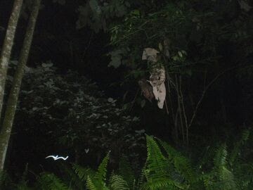 PART_1309021745617jpg