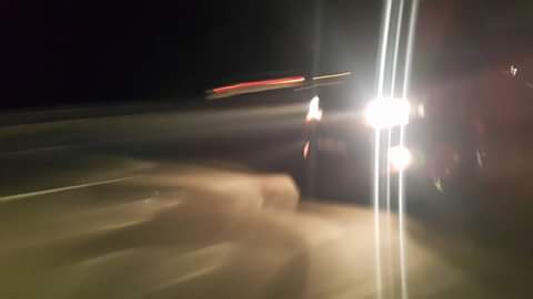 FB_IMG_1503321079050