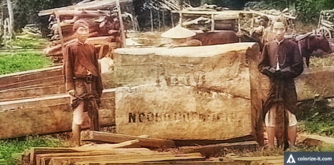 21314715_1445017805574809_3666143205655801611_n