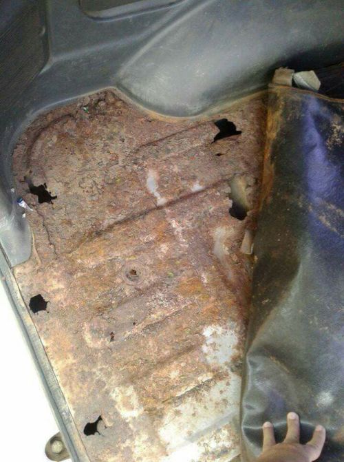 22141235_10210384736481675_6087339421502098440_n